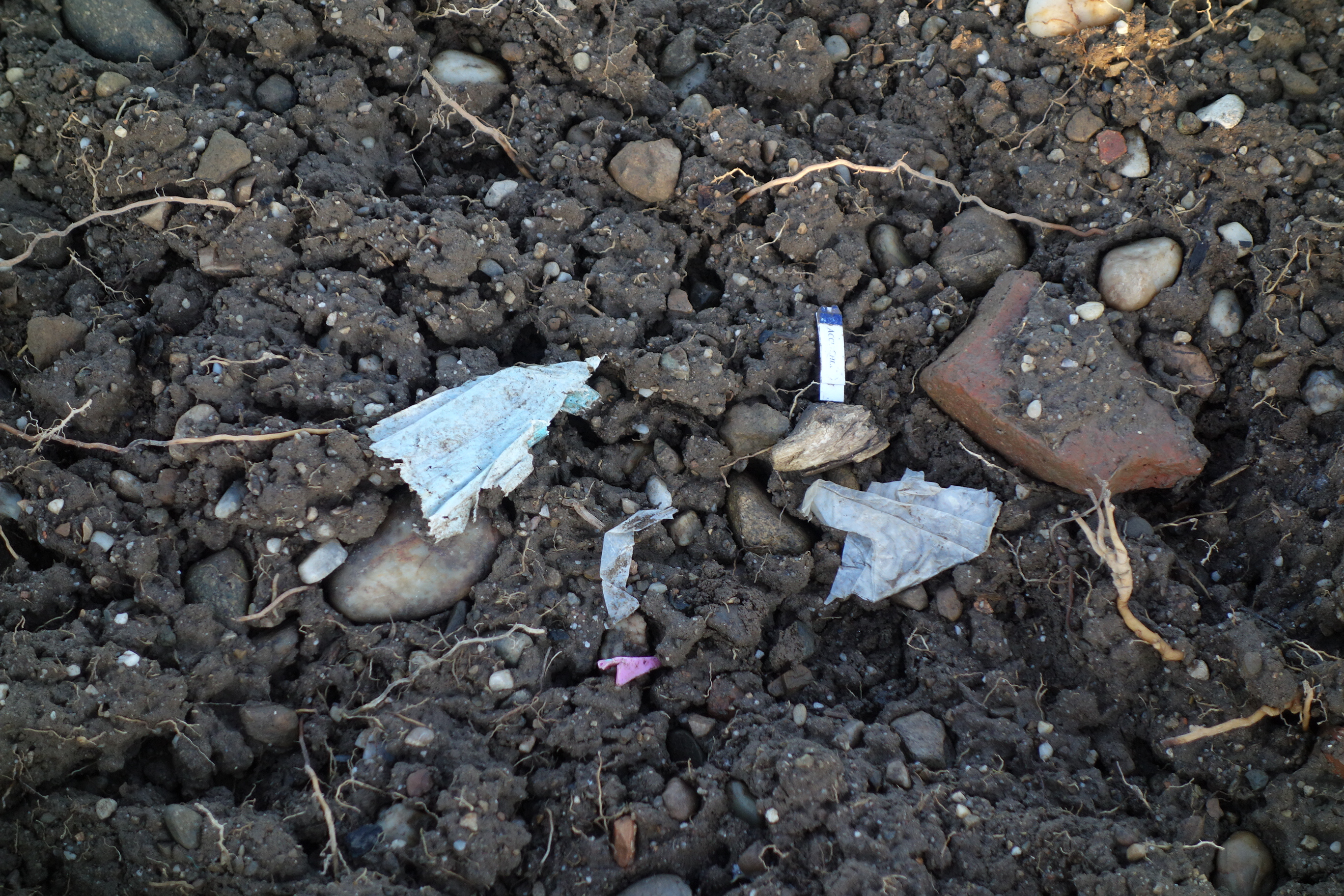 Plastikreste aus dem Biomüll finden sich im Acker des Eglhartinger Kompostbauern wieder
