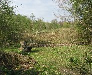 Mit Erde abgedeckte und rekultivierte ehemalige Deponie im Ebersberger Forst, April 2011